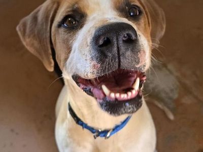 Hello my name is Harmony