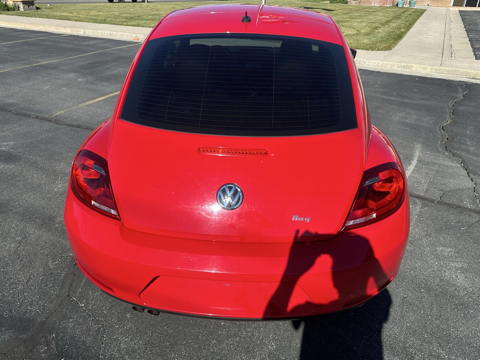 Main image 8