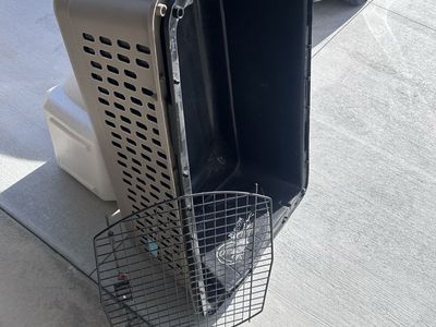 Large dog items for sale