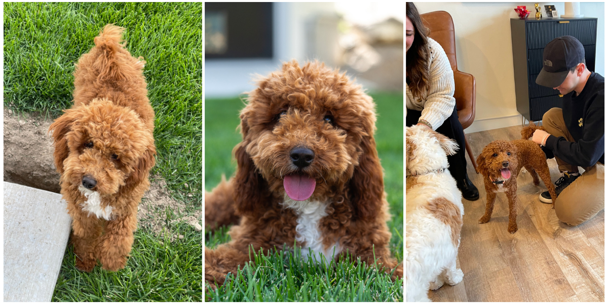Main image 2