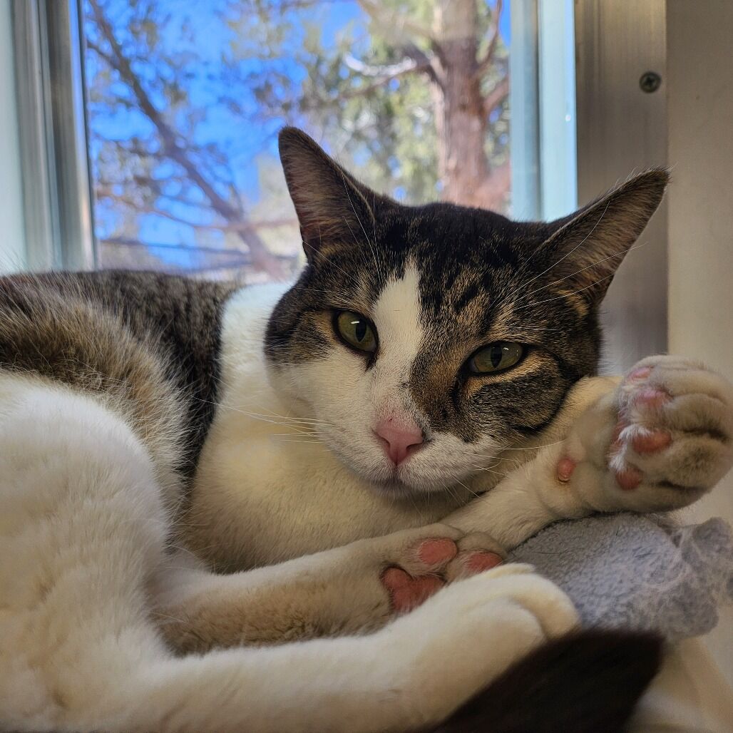 Hello my name is Ethan