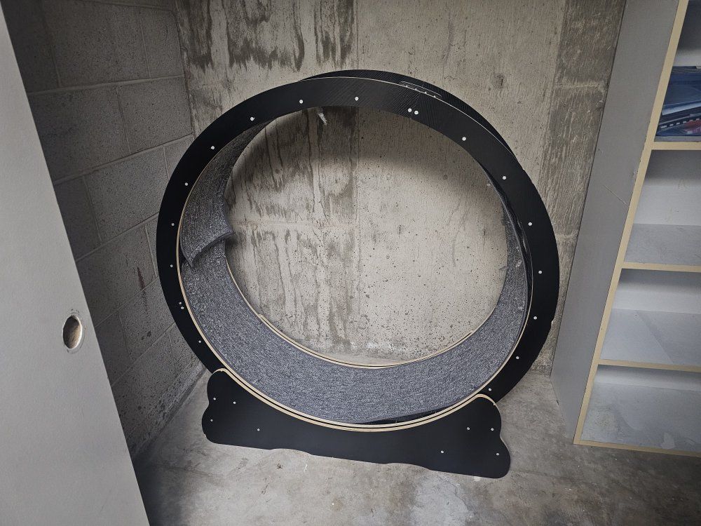 Cat Wheel