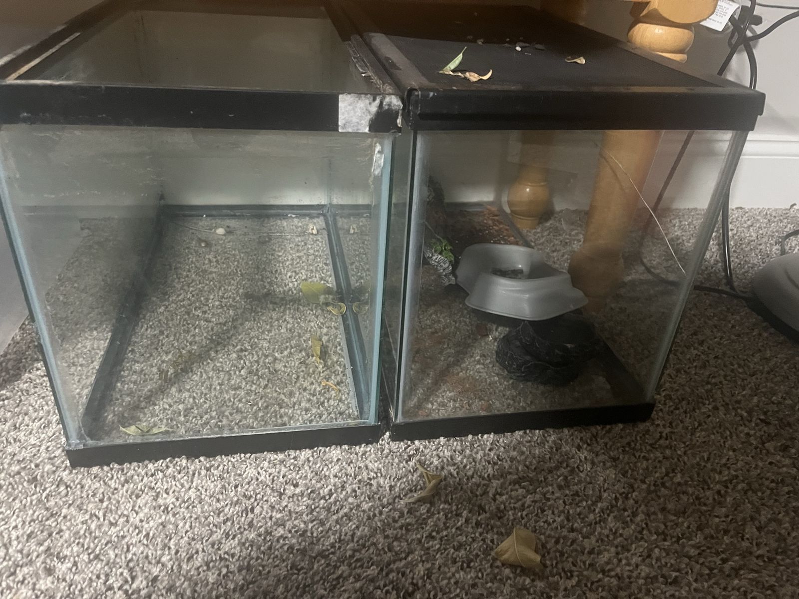 Fish tanks