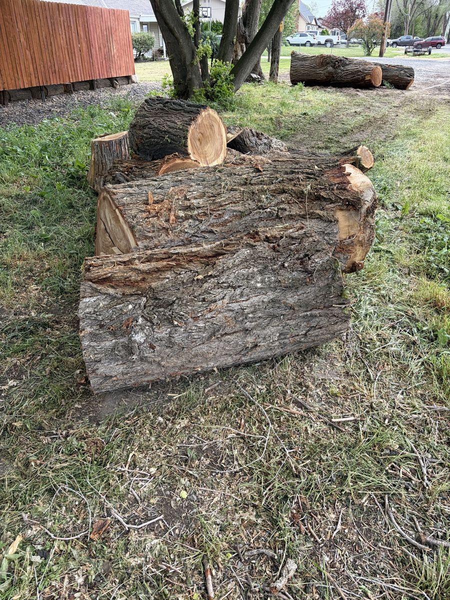 Firewood or sawmill