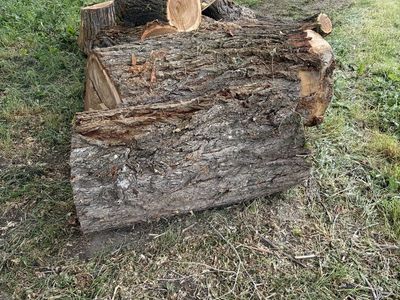 Firewood or sawmill