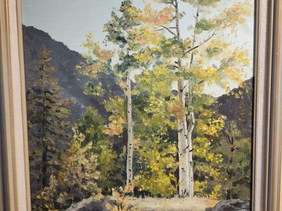 Aspen in Volcanic rock