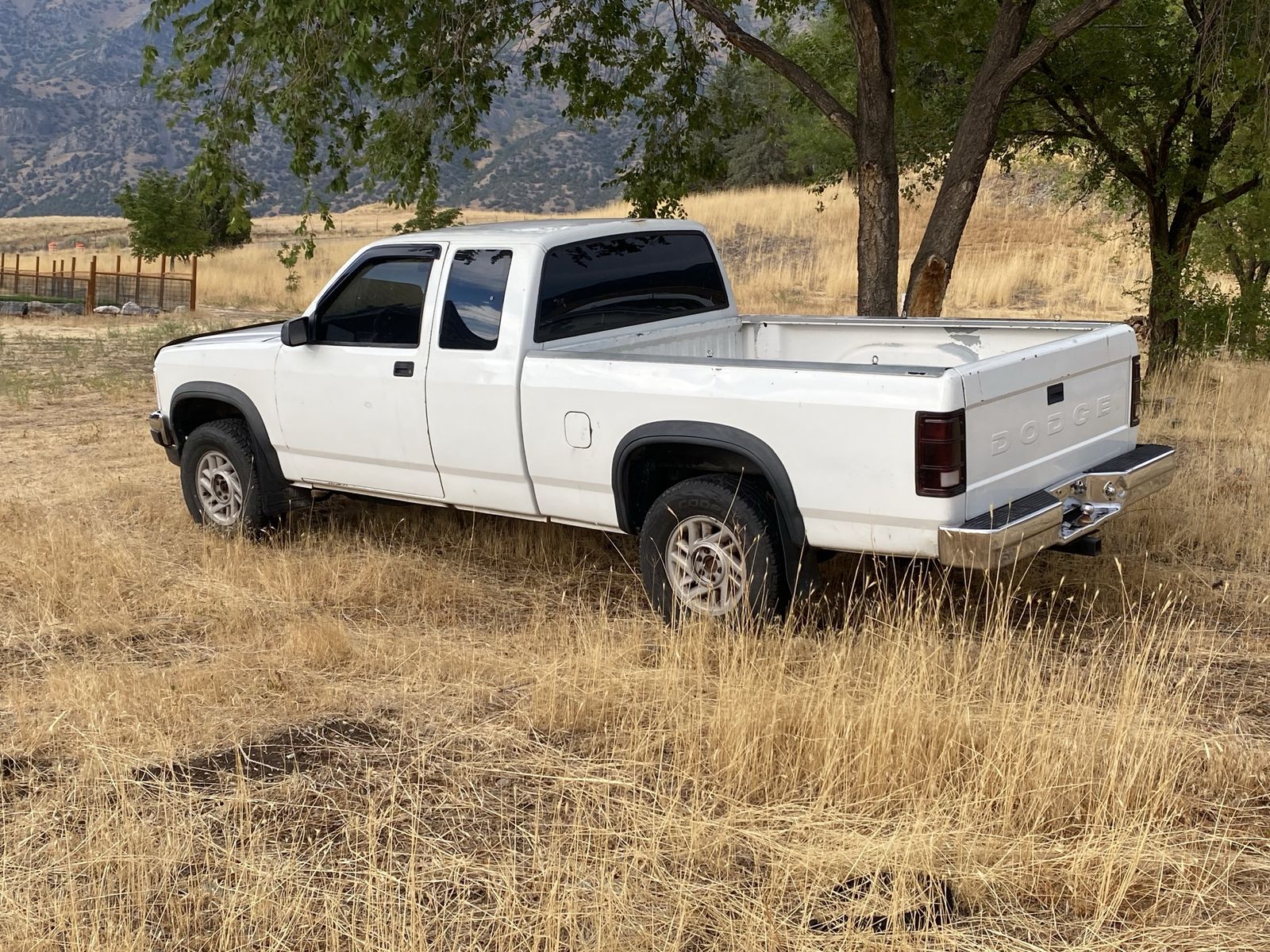 1992 Dodge Dakota Base