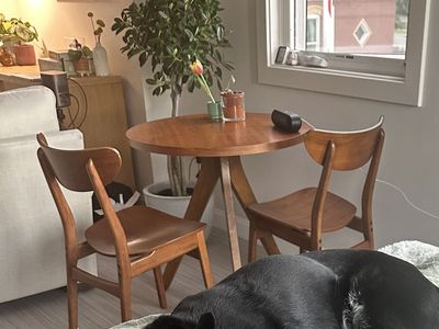 West Elm MCM Table