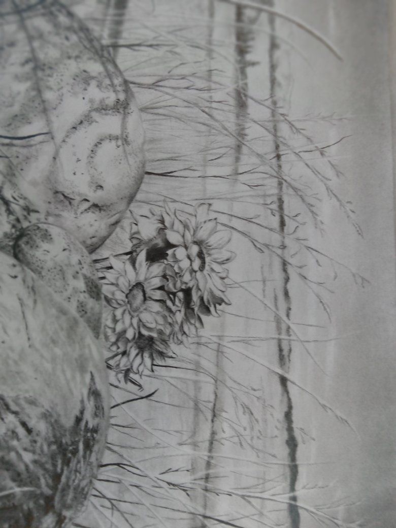 Original Pencil Drawing Sketch - Floral & Nature Still Life Artwork