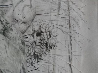Original Pencil Drawing Sketch - Floral & Nature Still Life Artwork