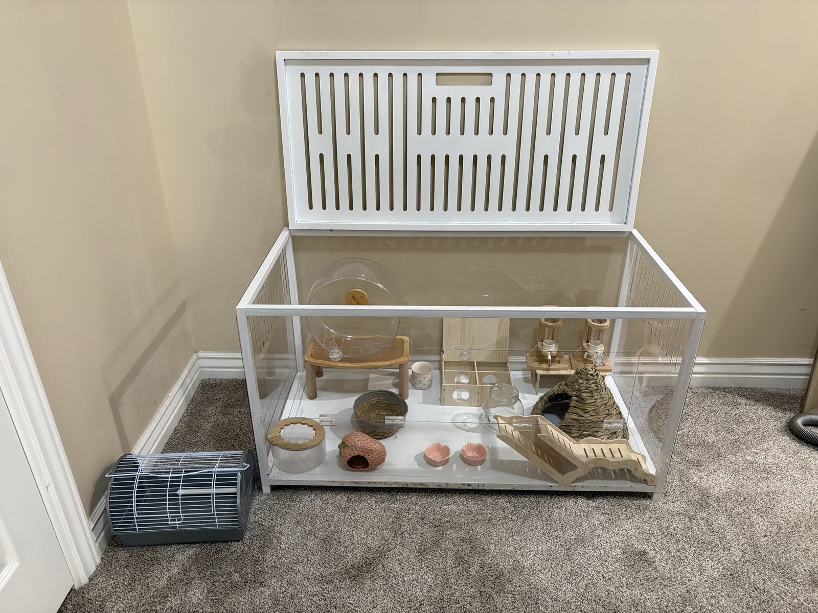 Large White Hamster Cage & Starter Kit - Spacious Acrylic Enclosure with Accessories