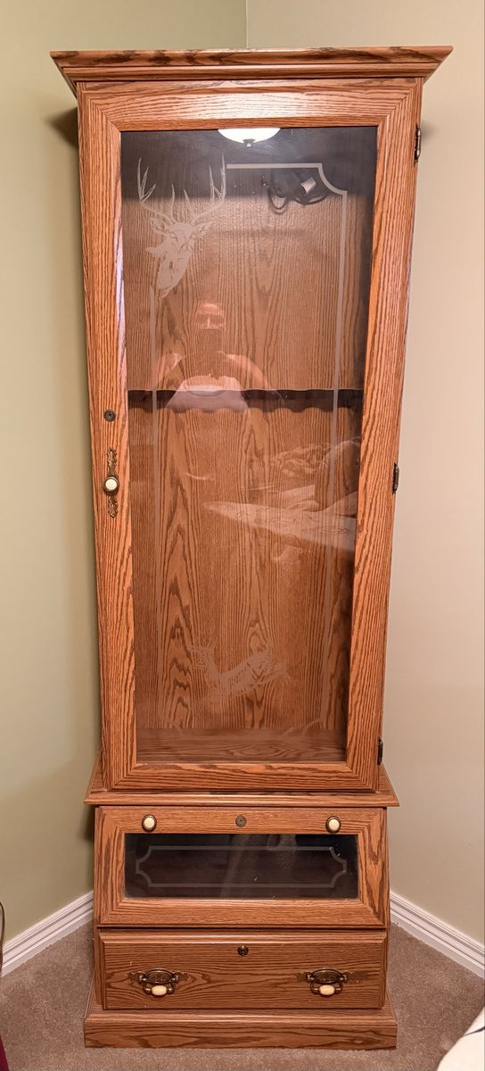 Lighted Gun Cabinet 