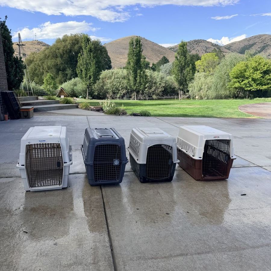 4 Dog Pet Carrier/Crate - size Large