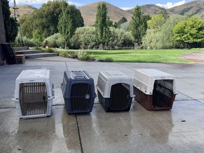 4 Dog Pet Carrier/Crate - size Large