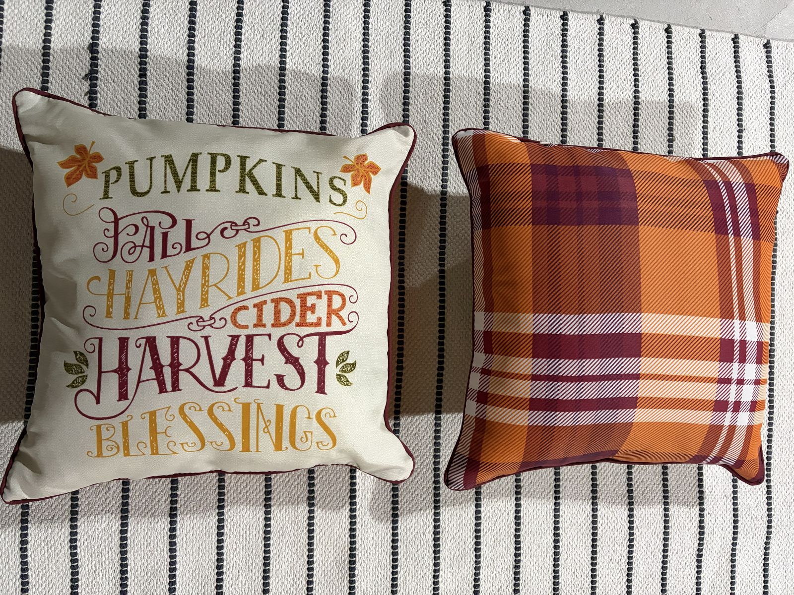 2 Fall Indoor/Outdoor Pillows