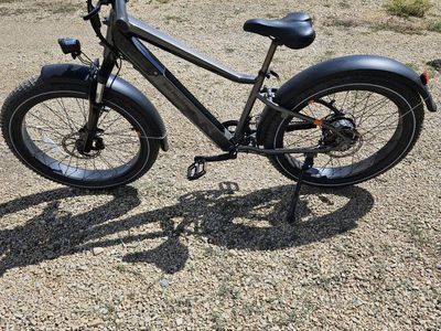 Pair of Rad Rover 6 Ebikes