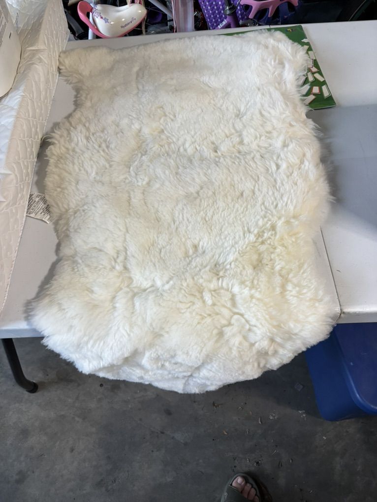 Main image 6