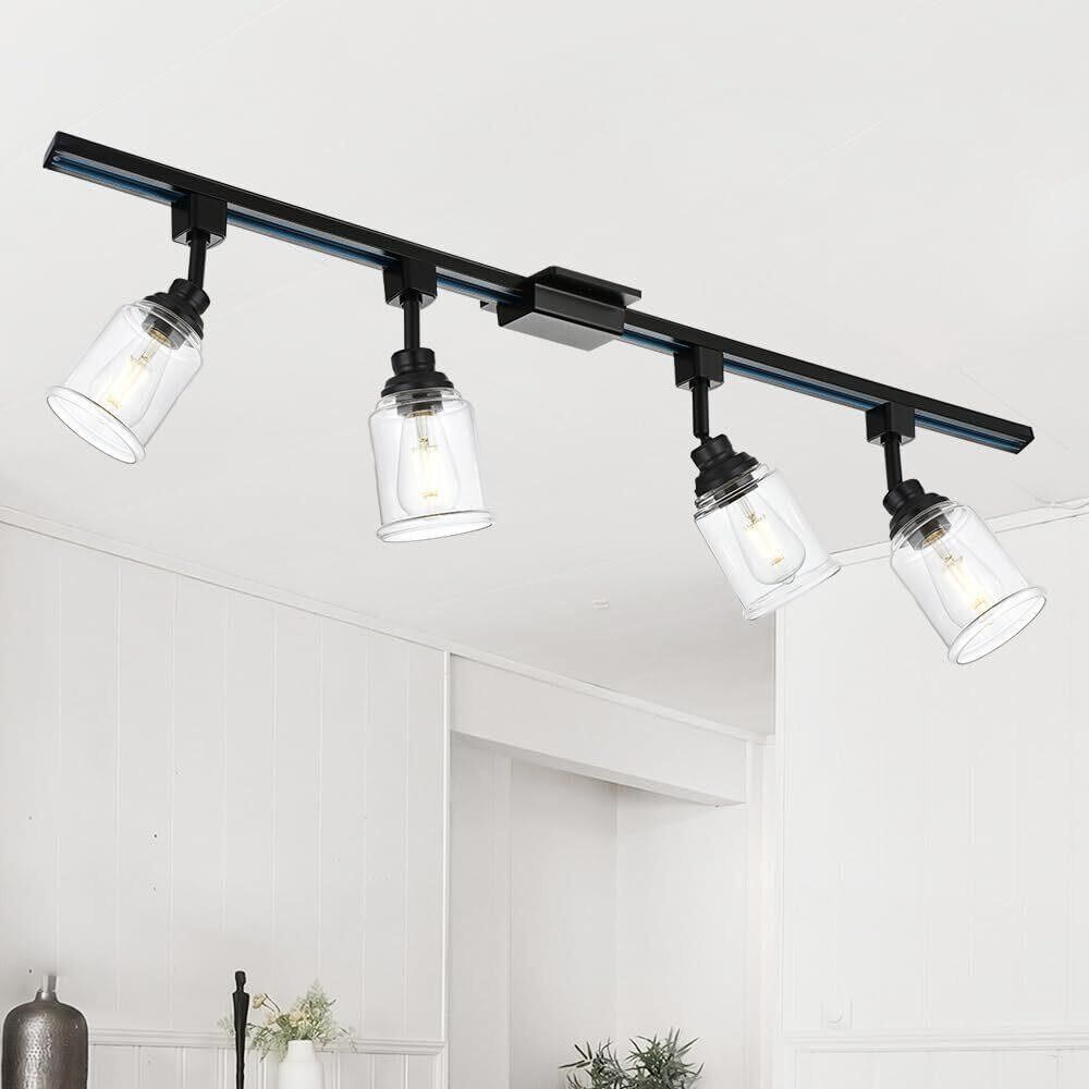 4 Light Black Light Fixture