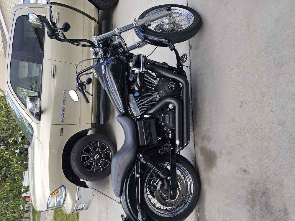 2008 harley Davidson street bob