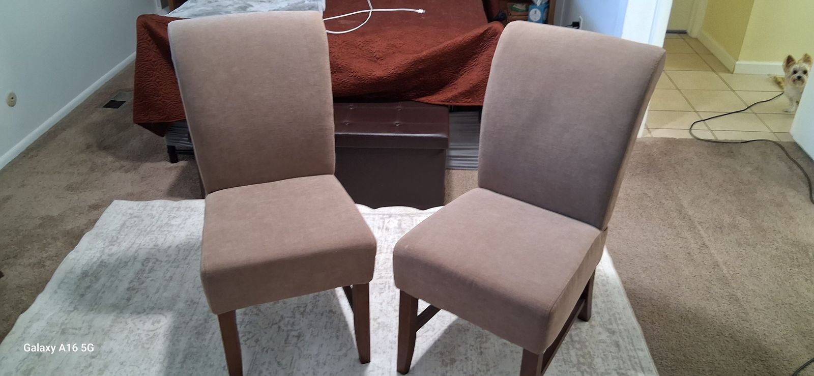 Chairs
