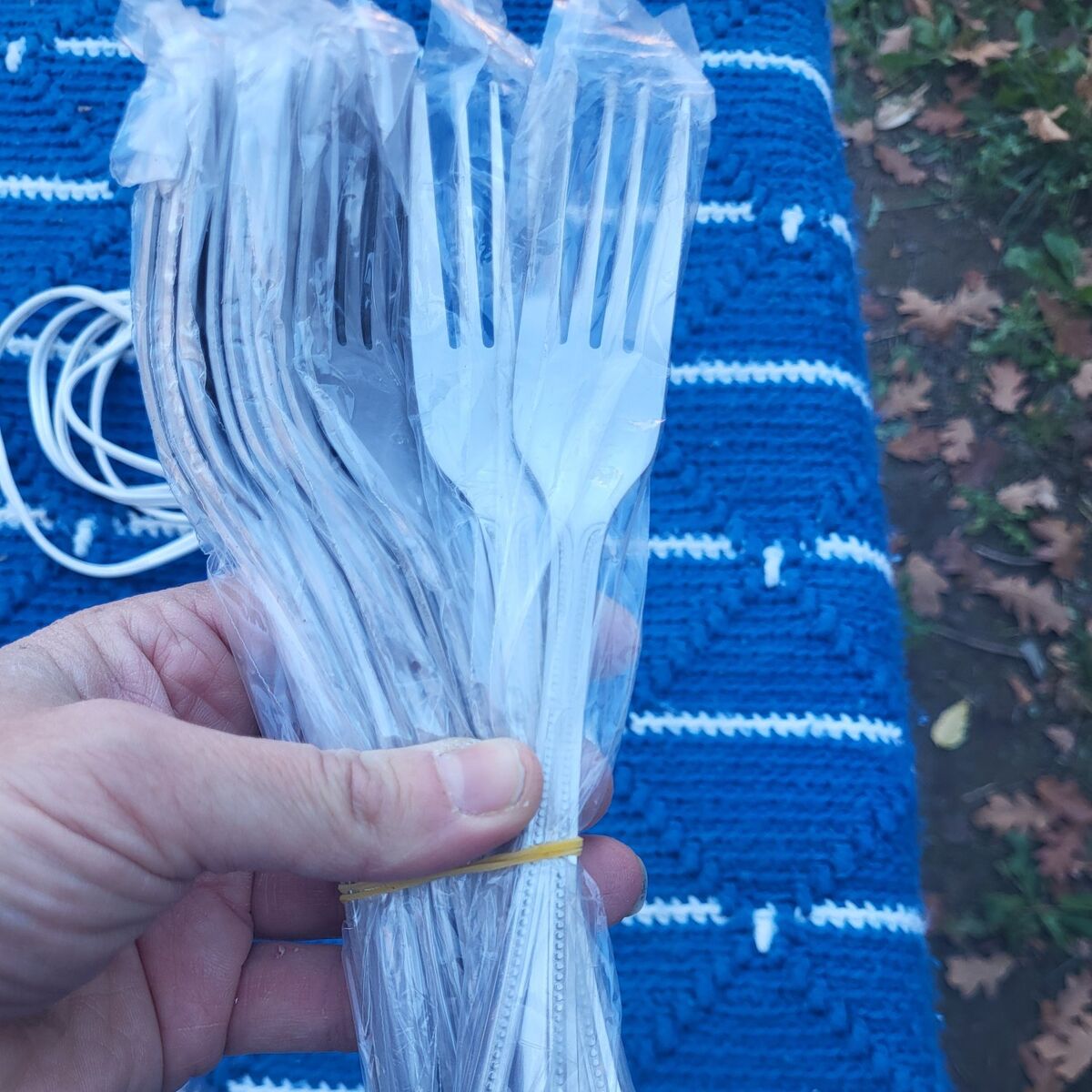 Set of 12 Stainless Steal Forks