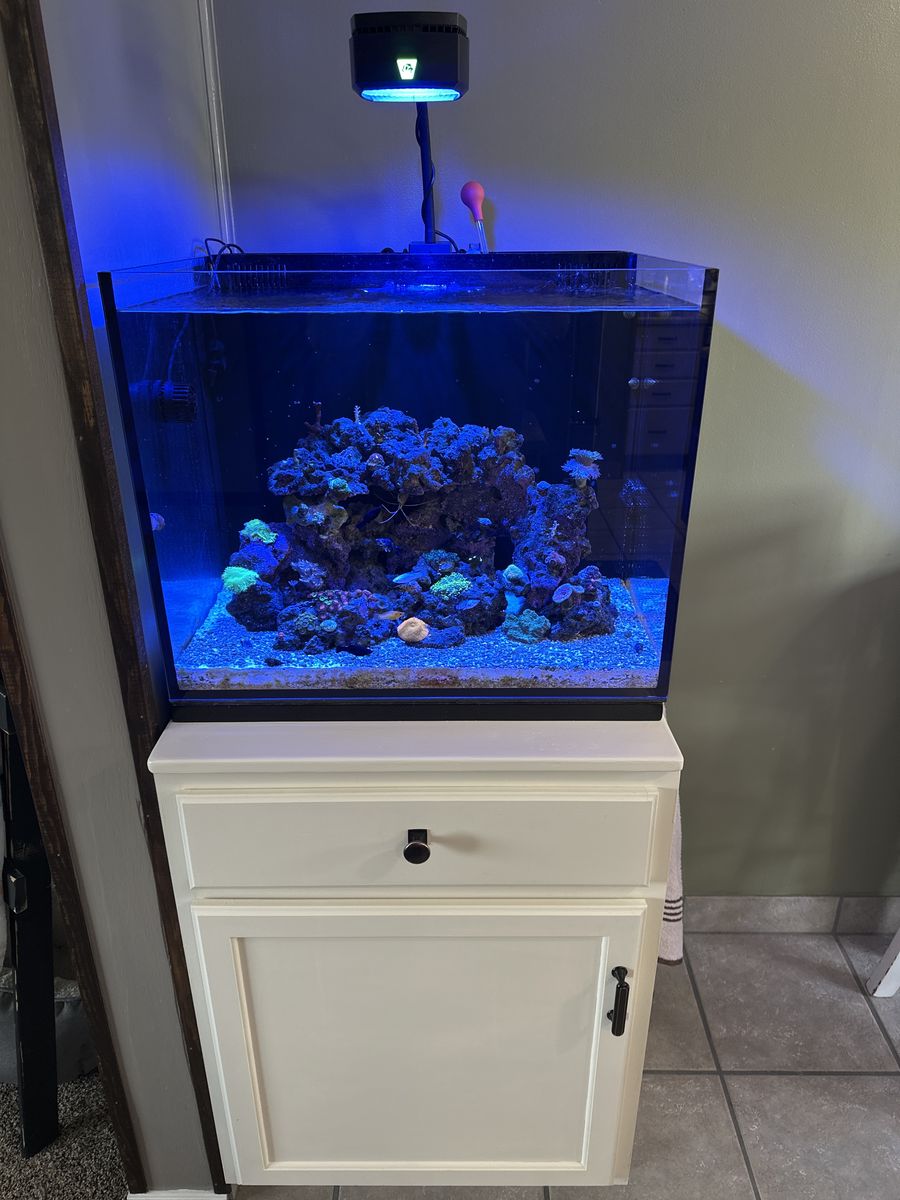 Nuvo 40gal AIO With Prime HD Light