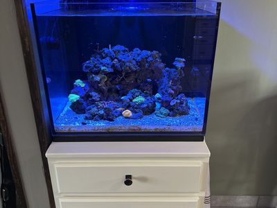 Nuvo 40gal AIO With Prime HD Light