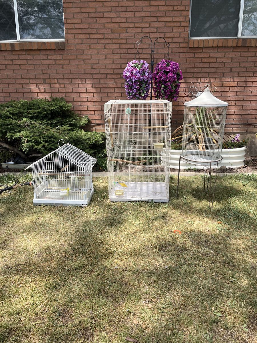 3 Bird Cages