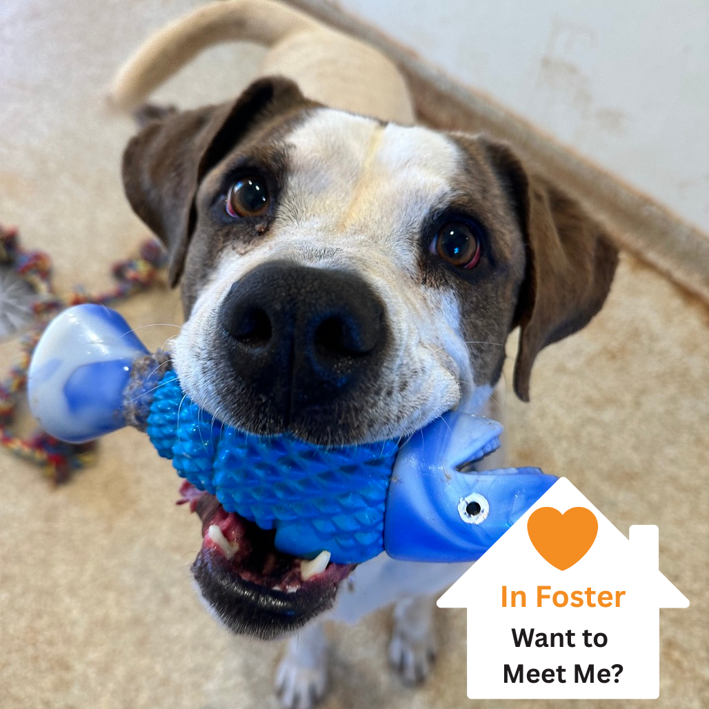 Hello my name is Richard