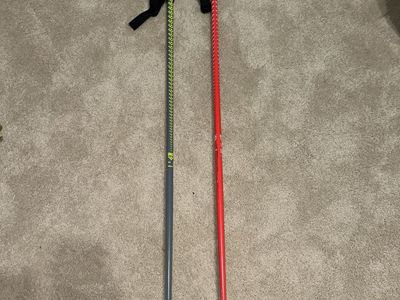 Black Crows ski poles