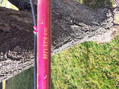Vintage Miyata 15 speed