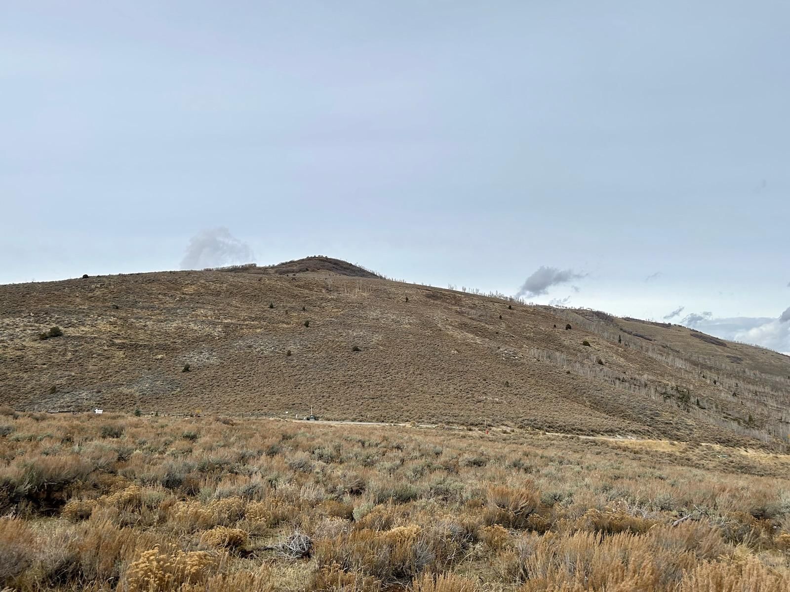 Main image 8