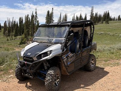 Kawasaki Teryx4 800 LE