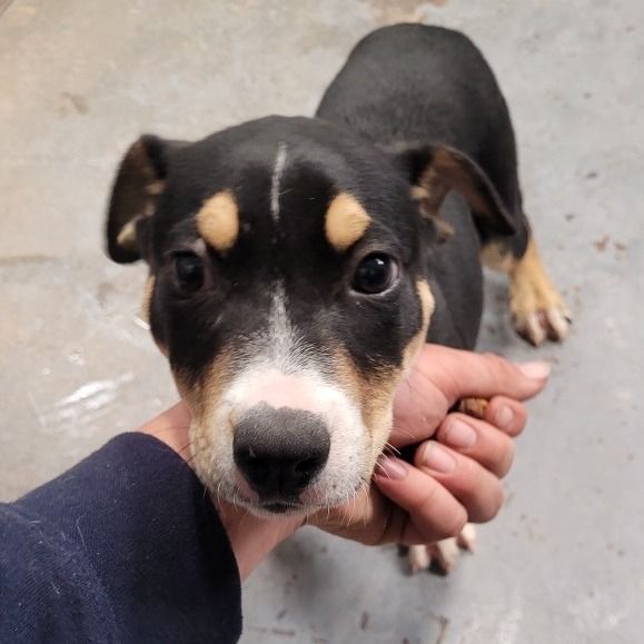 Hello my name is Paige