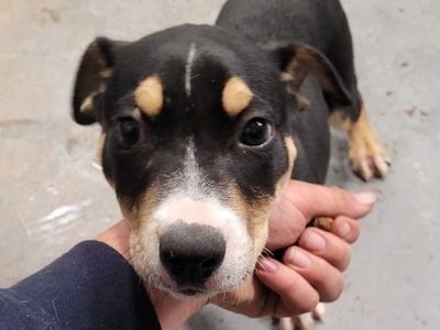 Hello my name is Paige