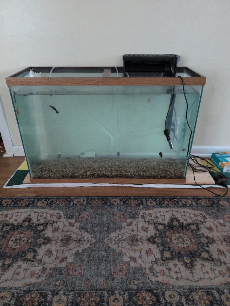 Used Glass Aquarium Fish Tank - Includes Filter, Heater, Gravel