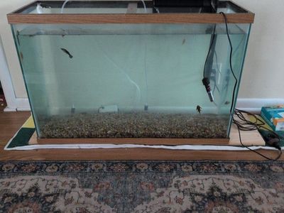 Used Glass Aquarium Fish Tank - Includes Filter, Heater, Gravel