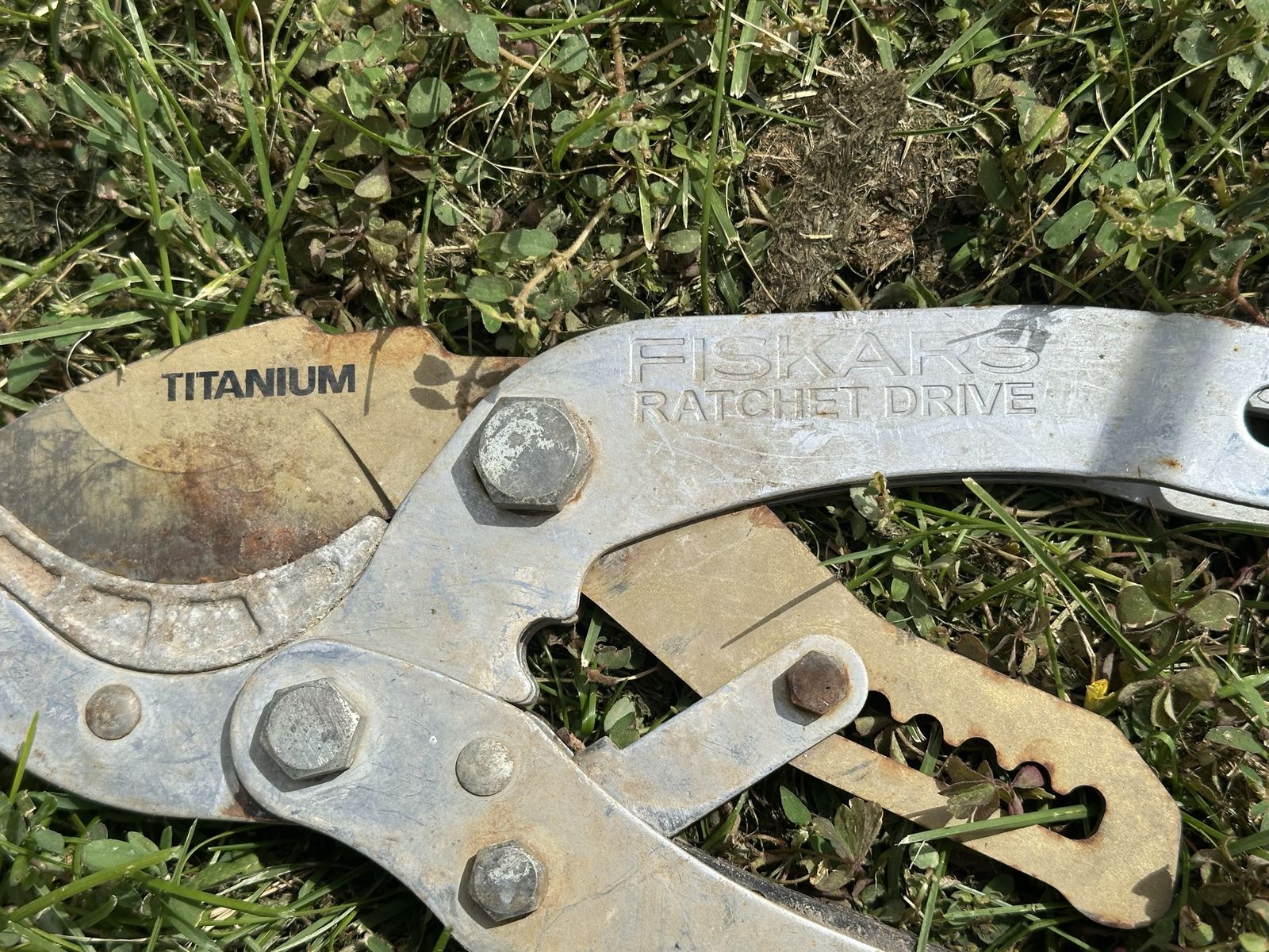Main image 2