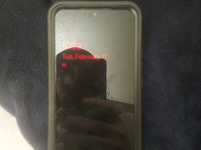 Samsung Galaxy S22 Plus 256GB Unlocked