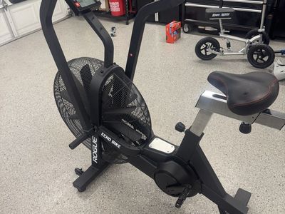 Rogue Echo Bike