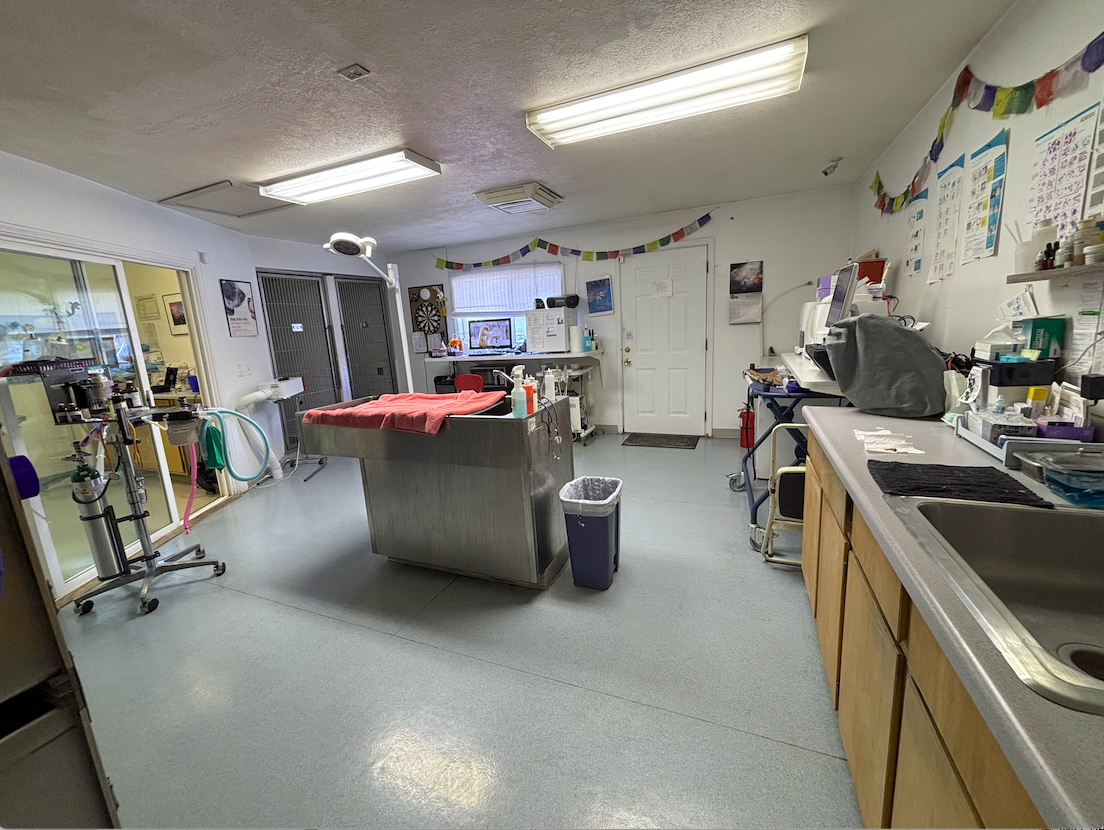 Main image 11