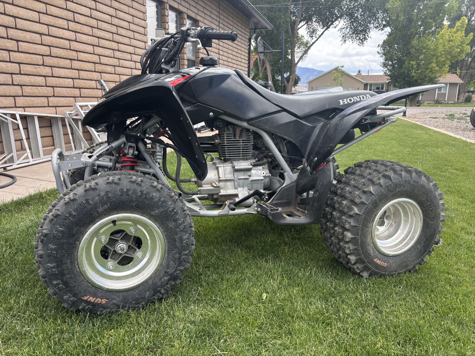 2007 Honda TRX 250 ex