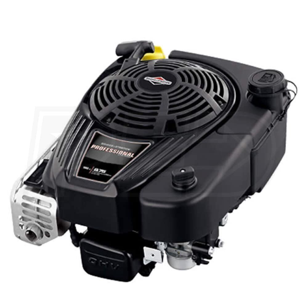 Briggs & Stratton Professional Series 190cc