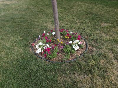 Over 100 feet of used lawn edging