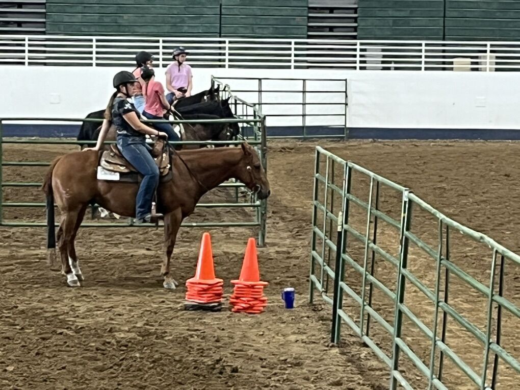 Colt Starting & Tuneups