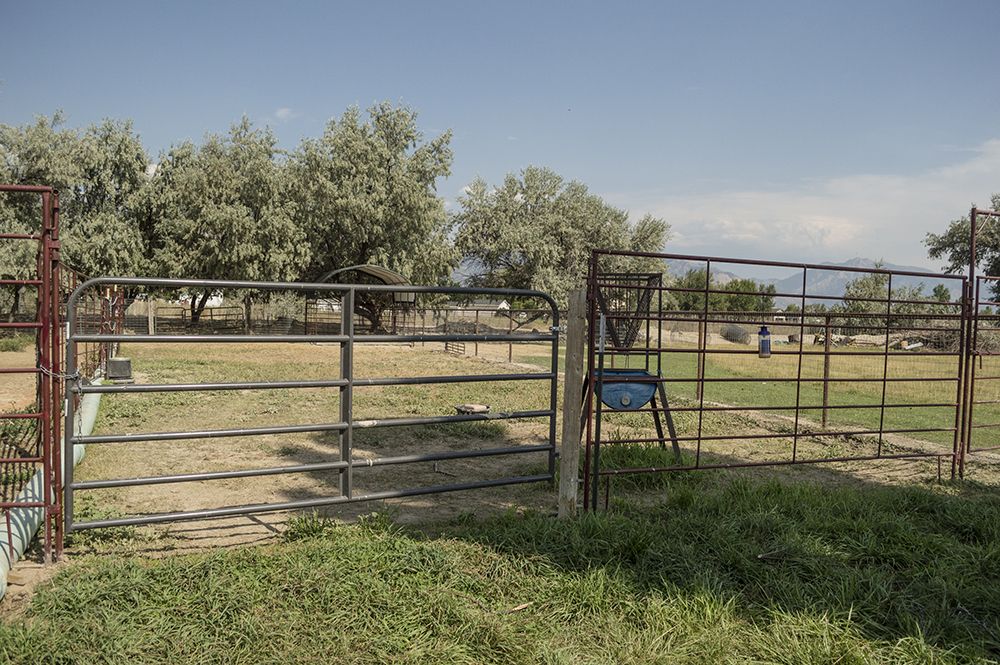 Horse Boarding