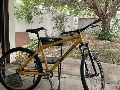 Single Speed Mountain Bike