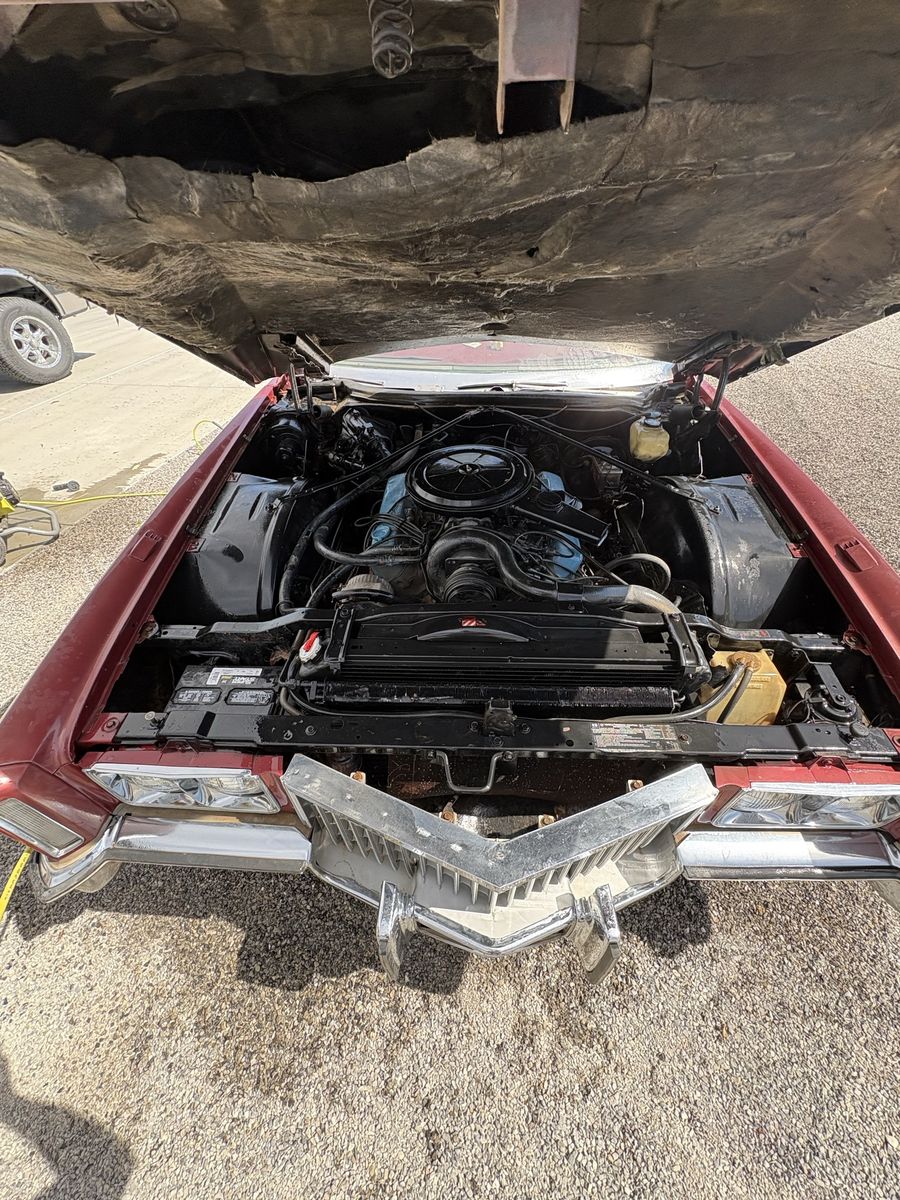 Main image 3