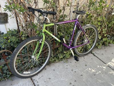Adult Trek Bike 26"