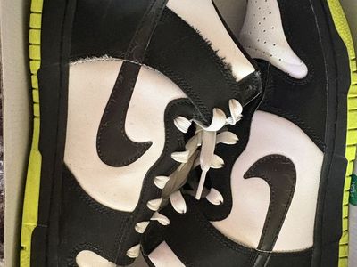 Nike Electric Panda Dunk High Men's Sneaker
